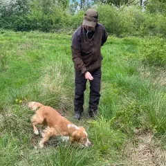 Ein Mann mit Hut beobachtet einen **waidlaut hund**, der im hohen Gras schnüffelt.