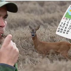 Ein Mann pfeift, um Rehe anzulocken. Ein Kalender zeigt den 12. Tag.