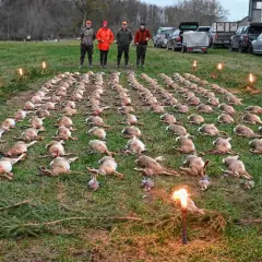 Eine Treibjagd: Hunderte Hasen liegen aufgereiht im Gras, vier Jäger stehen dahinter. Fackeln beleuchten die Szene.