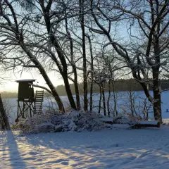 Schneebedeckte Bäume und ein Hochsitz am See. Ein Schild "Luderplatz verboten" ist nicht zu sehen, aber die Szene wirkt ruhig und unberührt.