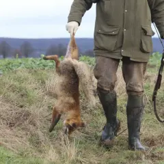 Jäger hält erlegten Fuchs hoch. Ein Hund wartet geduldig. Die Fuchsjagd war erfolgreich.
