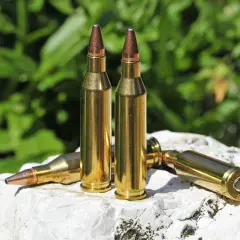 Patronen im Kaliber .243 Win liegen auf einem Stein. Ideal für die Jagd auf Sauen.