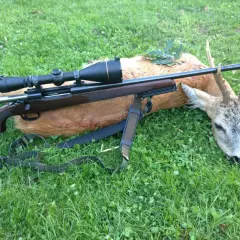 Ein erlegter Rehbock liegt im Gras, daneben ein Jagdgewehr mit Zielfernrohr. Erfolgreiche Bockjagd Bayern.