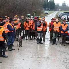 Gruppe von Jägern in orange Westen und Hüten, bereit für die UVV Jagd. Hunde sind ebenfalls anwesend.