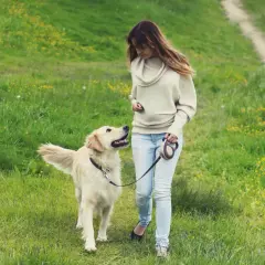 Frau mit Golden Retriever auf einer Wiese mit gelben Blumen. Die **Brut und Setzzeit Sachsen** ist eine gute Zeit für Spaziergänge in der Natur.
