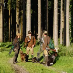 Vier Jäger mit Hunden im Wald. Einer wirkt wie ein jagdgast ohne begehungsschein, da er nur mit Fernglas und ohne Gewehr zu sehen ist.