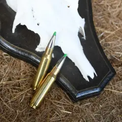 Zwei Patronen des Kalibers .308 Winchester liegen auf einem Geweih. Die .308 Win Reichweite ist beeindruckend für die Jagd.