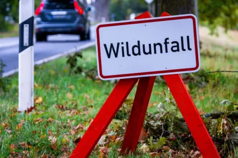 Warnschild "Wildunfall" am Straßenrand. Ein Auto fährt vorbei. Was tun bei einem Wildunfall? Vorsicht ist geboten.