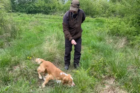 Ein Mann mit Hut beobachtet einen **waidlaut hund**, der im hohen Gras schnüffelt.