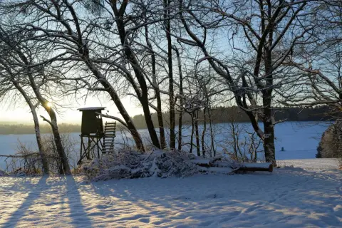 Schneebedeckte Bäume und ein Hochsitz am See. Ein Schild "Luderplatz verboten" ist nicht zu sehen, aber die Szene wirkt ruhig und unberührt.