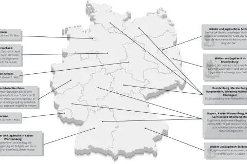 Karte Deutschlands mit Leinenpflicht-Regelungen und Jagdrecht. Brut- und Setzzeit RLP wird nicht erwähnt.