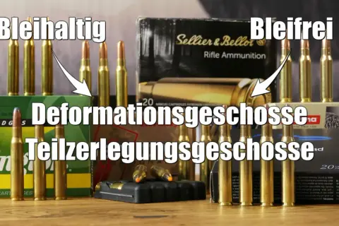 7x65r auf Sauen: Bleihaltige Deformationsgeschosse vs. bleifreie Teilzerlegungsgeschosse.