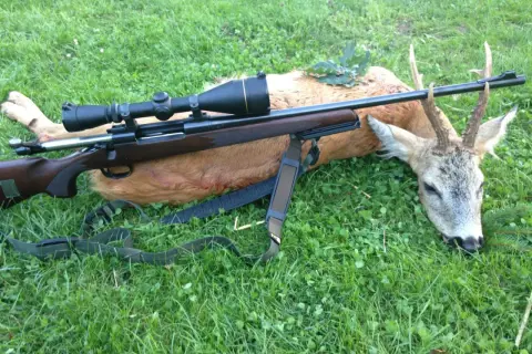 Ein erlegter Rehbock liegt im Gras, daneben ein Jagdgewehr mit Zielfernrohr. Erfolgreiche Bockjagd Bayern.