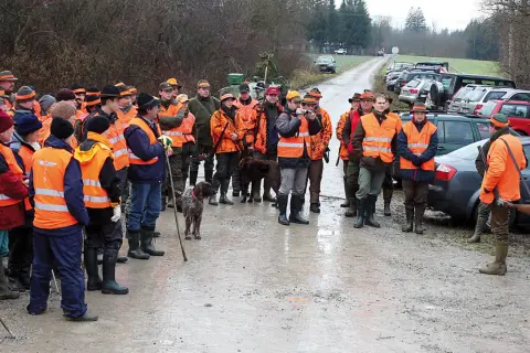 Gruppe von Jägern in orange Westen und Hüten, bereit für die UVV Jagd. Hunde sind ebenfalls anwesend.