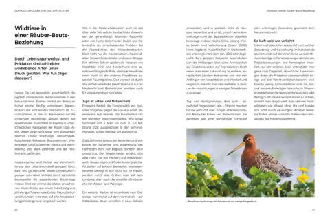 Ein Vogel mit langem Schnabel und braunem Gefieder sitzt im Gras. Er ist ein Beispiel für Niederwild, das durch Prädatoren bedroht ist.