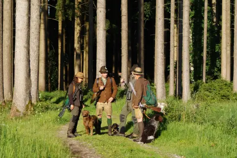 Vier Jäger mit Hunden im Wald. Einer wirkt wie ein jagdgast ohne begehungsschein, da er nur mit Fernglas und ohne Gewehr zu sehen ist.