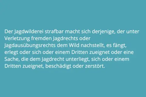 Text über Jagdwilderei in Deutschland: Wer fremdes Jagdrecht verletzt, dem droht Strafe.