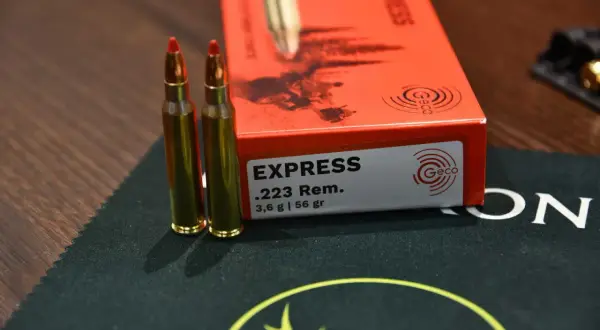 Zwei GECO .223 Remington Patronen liegen neben einer orangefarbenen Packung. Die Packung gibt die Energie mit 223 Remington Joule an.
