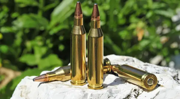 Patronen im Kaliber .243 Win liegen auf einem Stein. Ideal für die Jagd auf Sauen.