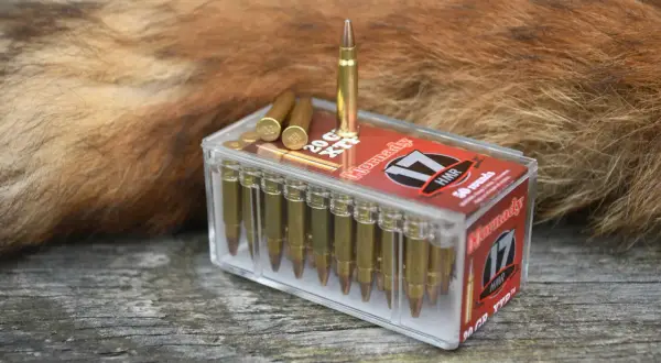 Schussmunition 17 HMR neben einem roten Fuchspelz.