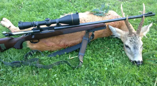Ein erlegter Rehbock liegt im Gras, daneben ein Jagdgewehr mit Zielfernrohr. Erfolgreiche Bockjagd Bayern.