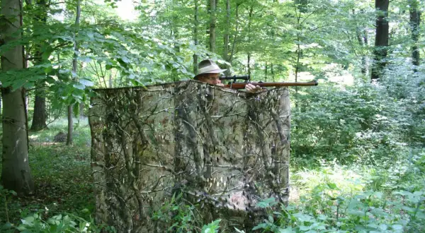 Jäger im Tarnzelt im Wald, bereit, richtig blatten.