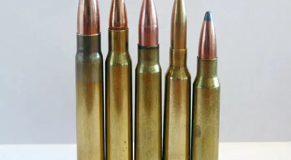 Fünf Patronen, darunter eine 9,3x62 und eine .308, stehen nebeneinander.