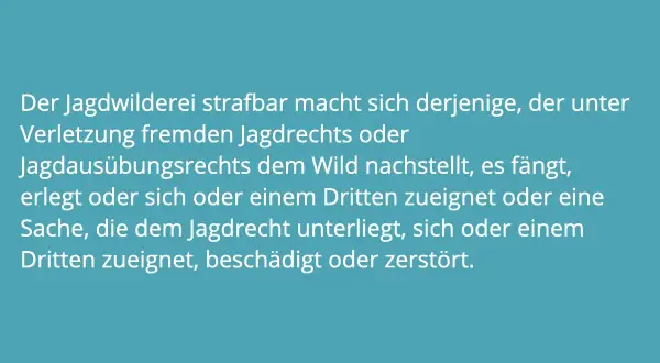 Text über Jagdwilderei in Deutschland: Wer fremdes Jagdrecht verletzt, dem droht Strafe.