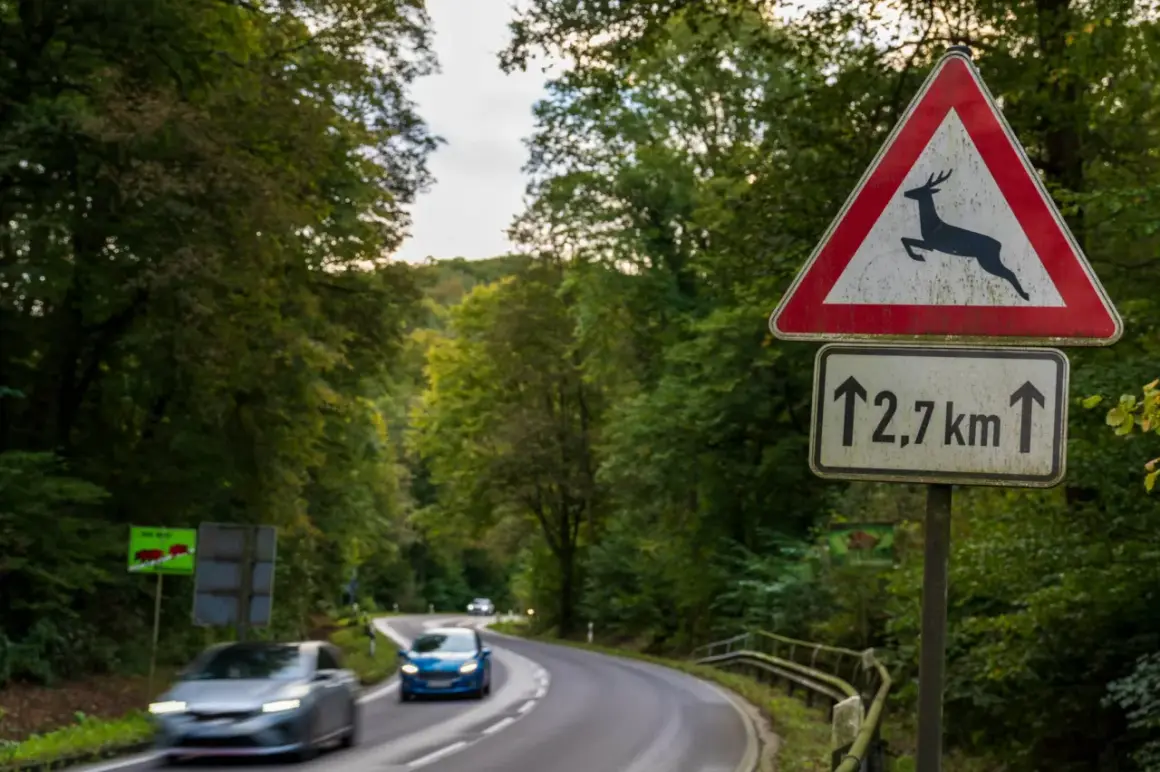 Achtung Wildwechsel! Ein Reh angefahren was tun? Dieses Schild warnt vor Wild auf der Straße. Vorsicht ist geboten, besonders in der Dämmerung.
