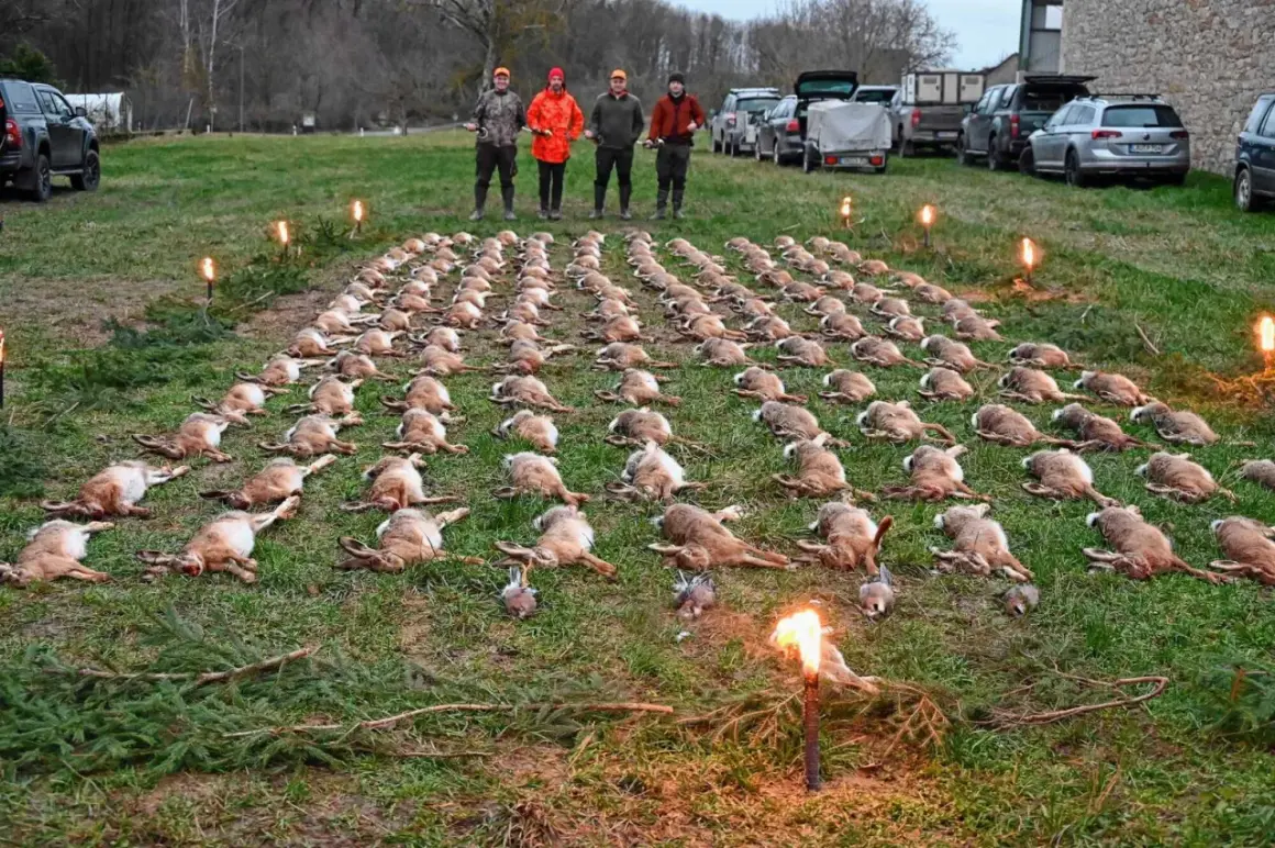 Eine Treibjagd: Hunderte Hasen liegen aufgereiht im Gras, vier Jäger stehen dahinter. Fackeln beleuchten die Szene.