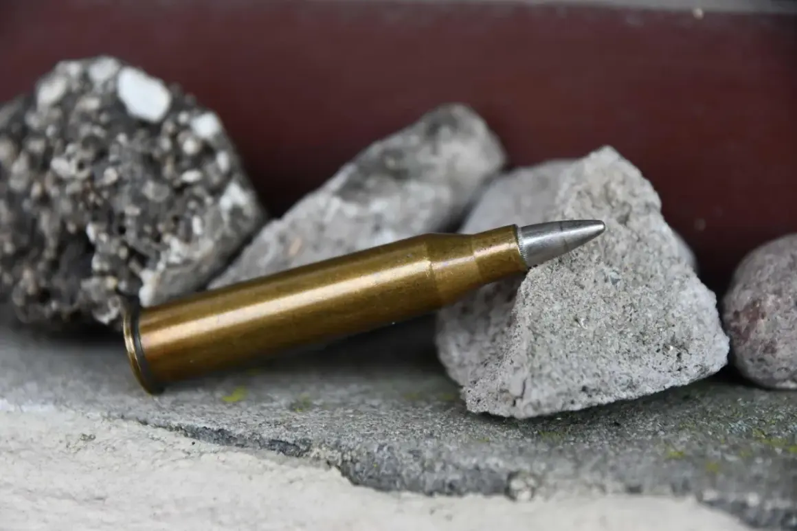 Eine Patrone 6,5x57 liegt auf Steinen. Sie ist bereit für die Jagd auf Schwarzwild.