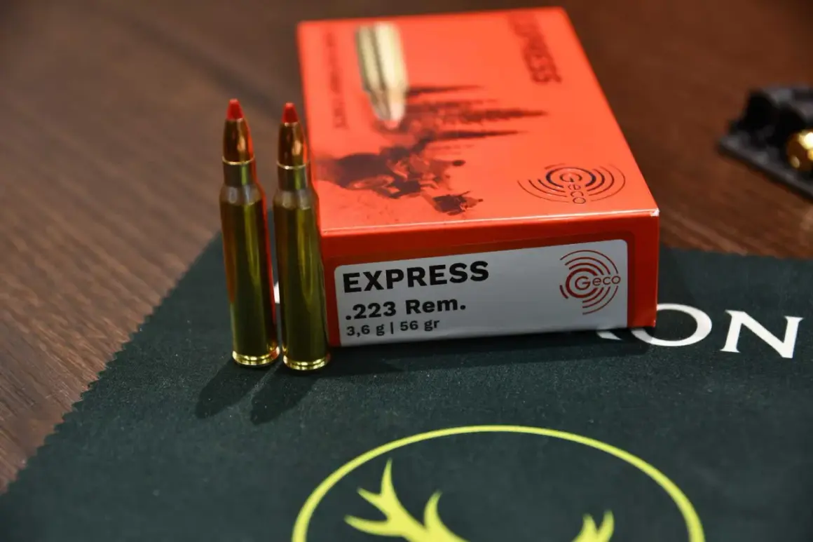 Zwei GECO .223 Remington Patronen liegen neben einer orangefarbenen Packung. Die Packung gibt die Energie mit 223 Remington Joule an.