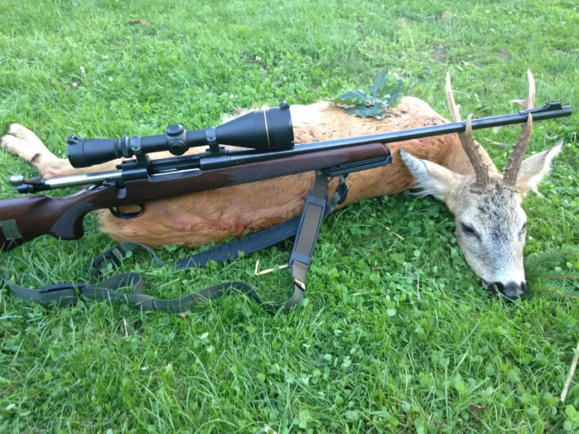 Ein erlegter Rehbock liegt im Gras, daneben ein Jagdgewehr mit Zielfernrohr. Erfolgreiche Bockjagd Bayern.