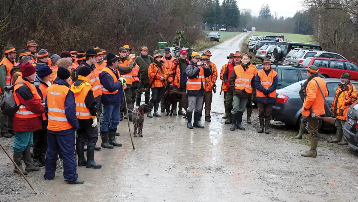 Gruppe von Jägern in orange Westen und Hüten, bereit für die UVV Jagd. Hunde sind ebenfalls anwesend.