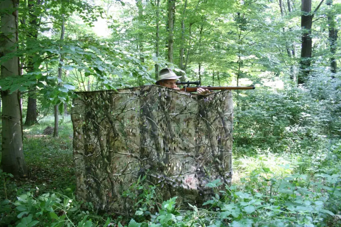 Jäger im Tarnzelt im Wald, bereit, richtig blatten.