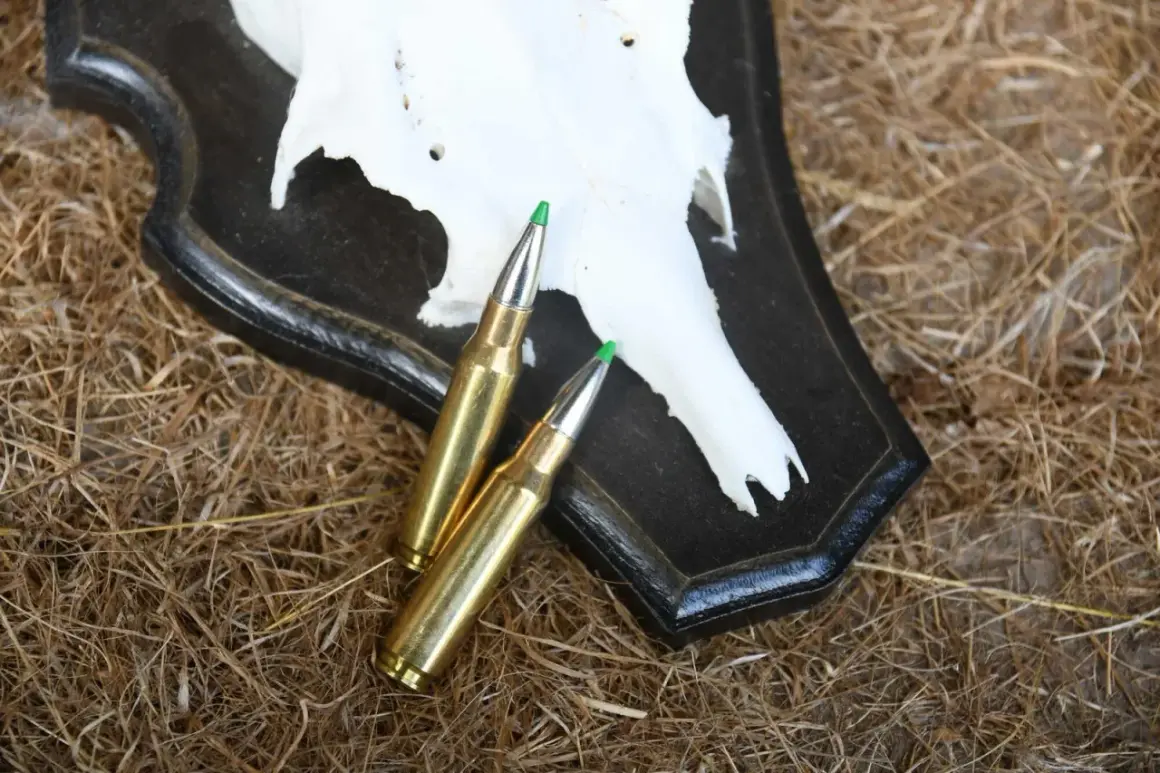 Zwei Patronen des Kalibers .308 Winchester liegen auf einem Geweih. Die .308 Win Reichweite ist beeindruckend für die Jagd.