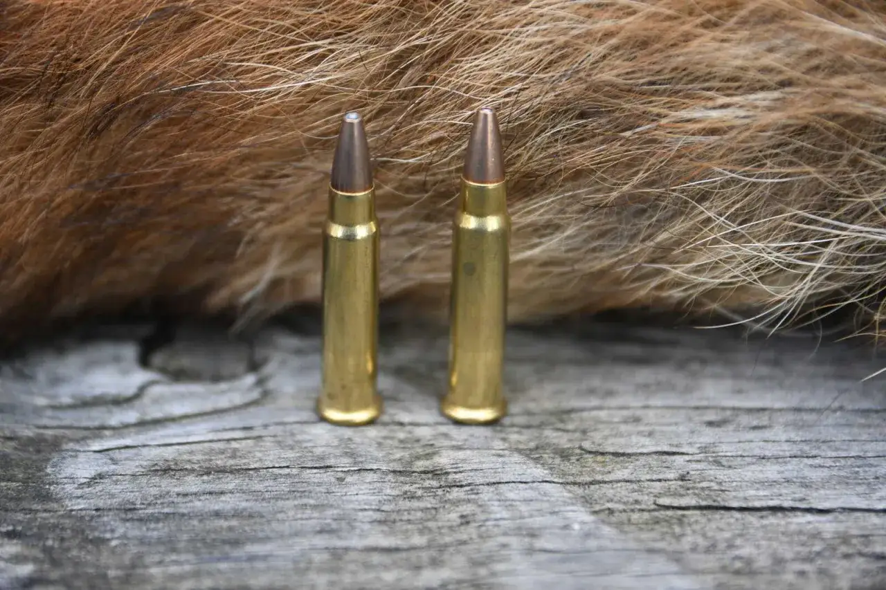 Zwei Patronen, eine 17 HMR, liegen auf Holz neben einem Fuchsfell.