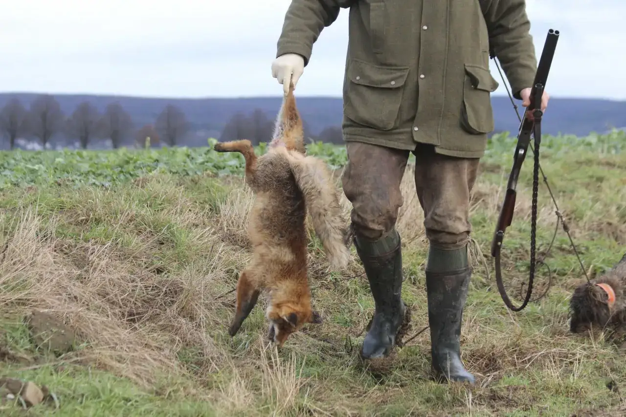 Jäger hält erlegten Fuchs hoch. Ein Hund steht daneben. Die Fuchsjagd war erfolgreich.