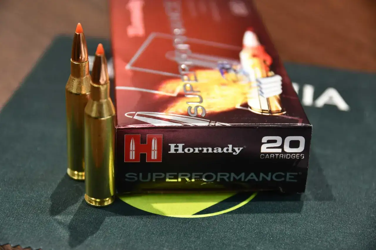 Hornady Superformance 243 Win Patronen, bereit für die Jagd auf Sauen.