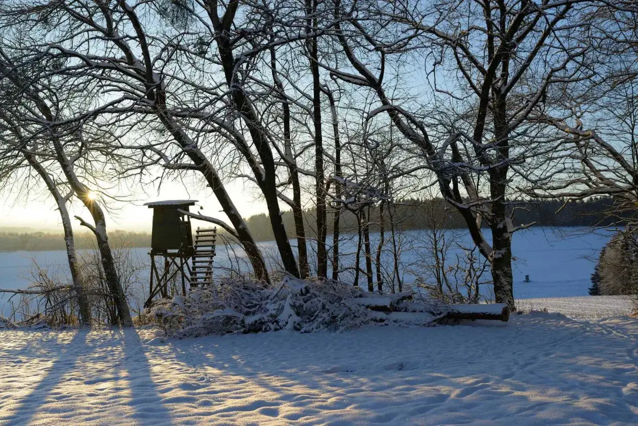 Schneebedeckte Bäume und ein Hochsitz am Seeufer. Ein Schild