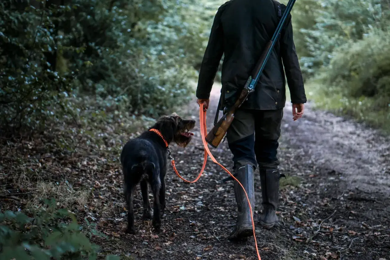Ein J&auml;ger geht mit seinem Jagdhund und Gewehr durch den Wald. Das Jagdhund Zubeh&ouml;r, wie die Leine und das Halsband, sind gut sichtbar.