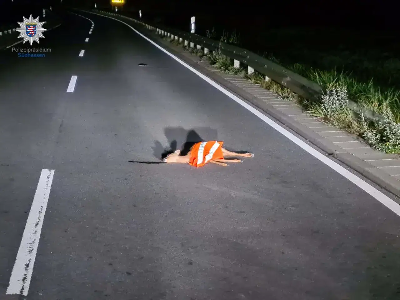 Ein angefahrenes Reh liegt nachts auf einer Autobahn, mit einer Warnweste bekleidet. Die Polizei Südhessen dokumentiert den Vorfall.