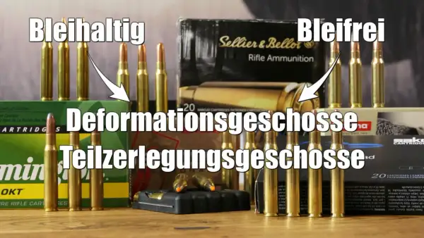 7x65r auf Sauen: Bleihaltige Deformationsgeschosse vs. bleifreie Teilzerlegungsgeschosse.