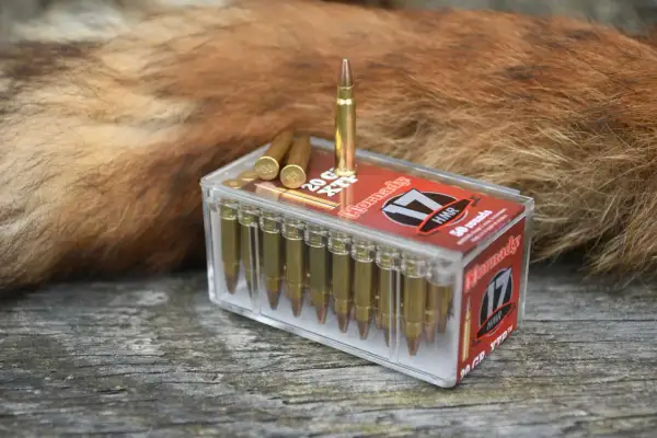 Schussmunition 17 HMR neben einem roten Fuchspelz.