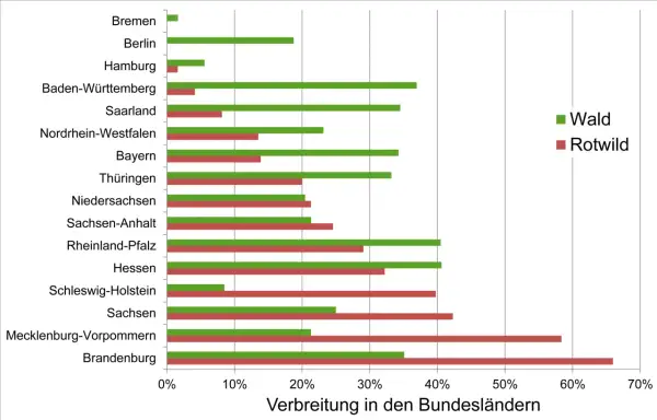 Balkendiagramm zeigt die Verbreitung von Wald und Rotwild in deutschen Bundesländern.